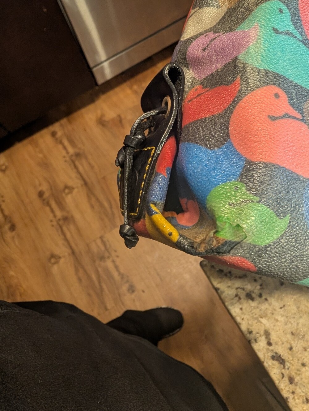 Dooney And Bourke Vintage Rainbow Duck - Picture 8 of 12